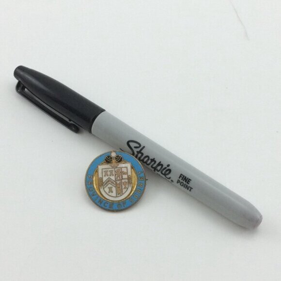 Vintage Province of Surrey Enamel Metal Pin Badge HW Miller UK England Souvenir - Picture 11 of 11